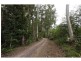 Palmwoods QLD 4555