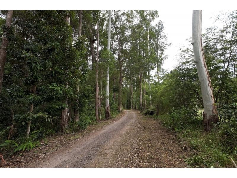 Palmwoods QLD 4555