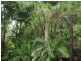 Maroochy River QLD 4561