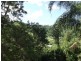 Maroochy River QLD 4561