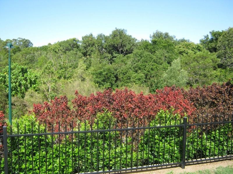 20 Grimes Terrace, Burnside QLD 4560