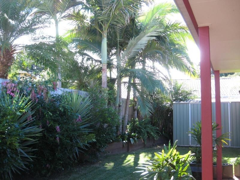 Woombye QLD 4559
