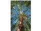 The Palms QLD 4570