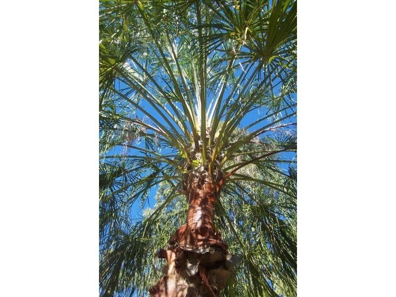 The Palms QLD 4570