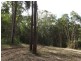 The Palms QLD 4570