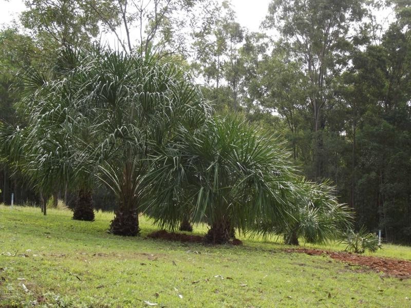 The Palms QLD 4570