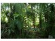 Woombye QLD 4559