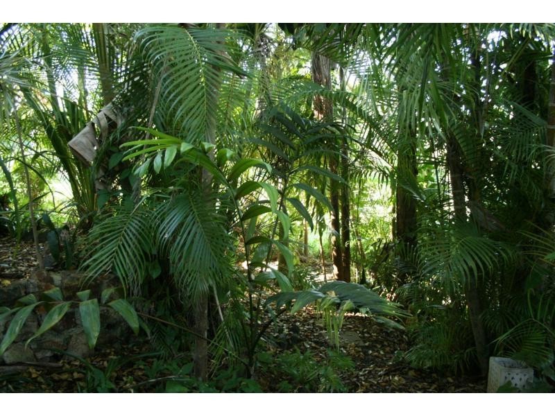 Woombye QLD 4559