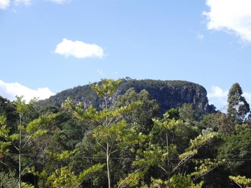 Yandina QLD 4561