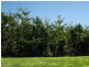 Yandina QLD 4561