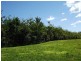 Yandina QLD 4561