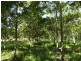 Yandina QLD 4561