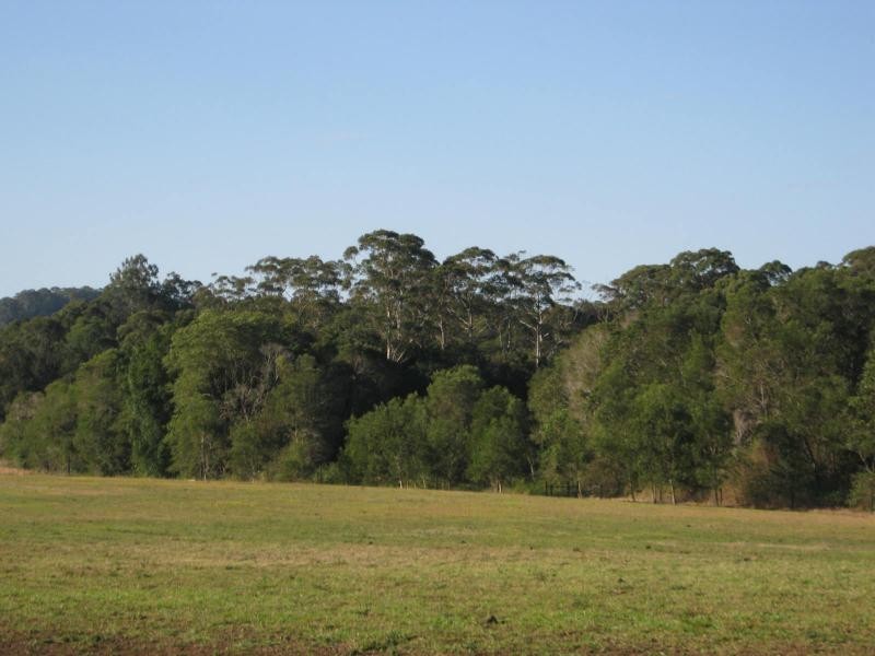 Diddillibah QLD 4559