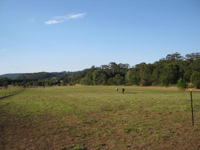 Diddillibah QLD 4559