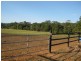 Diddillibah QLD 4559