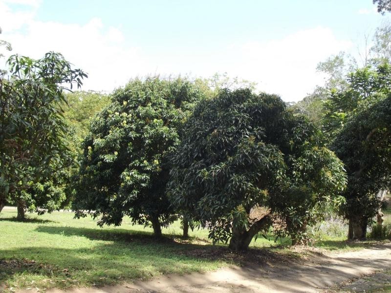 Kiels Mountain QLD 4559