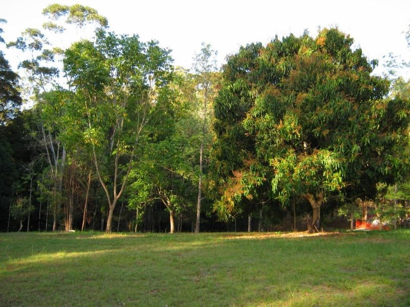 435 Kiel Mountain Road, Diddillibah QLD 4559