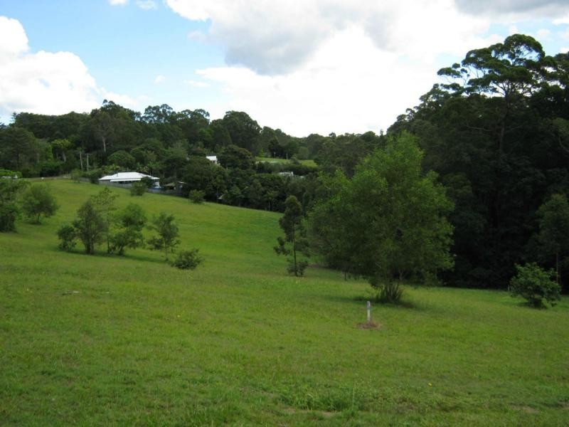 435 Kiel Mountain Road, Diddillibah QLD 4559