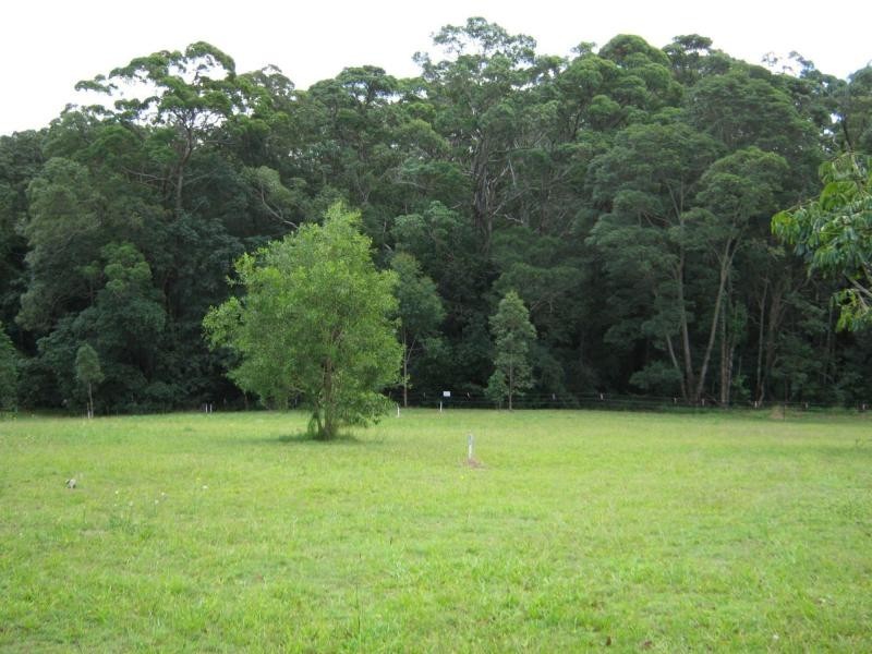 435 Kiel Mountain Road, Diddillibah QLD 4559