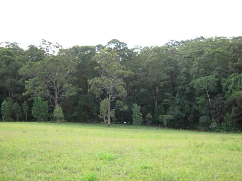 435 Kiel Mountain Road, Diddillibah QLD 4559