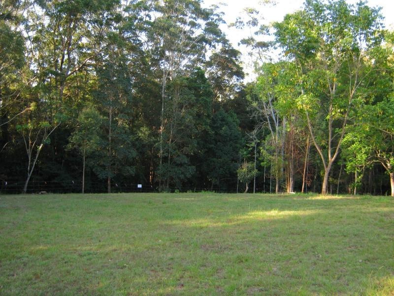 435 Kiel Mountain Road, Diddillibah QLD 4559