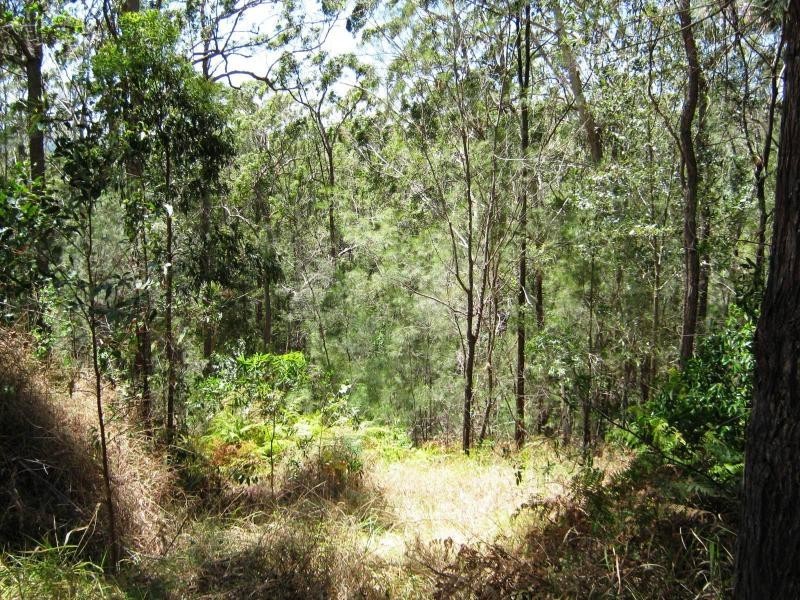 93 Olsen Road, Ilkley QLD 4554
