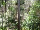 93 Olsen Road, Ilkley QLD 4554