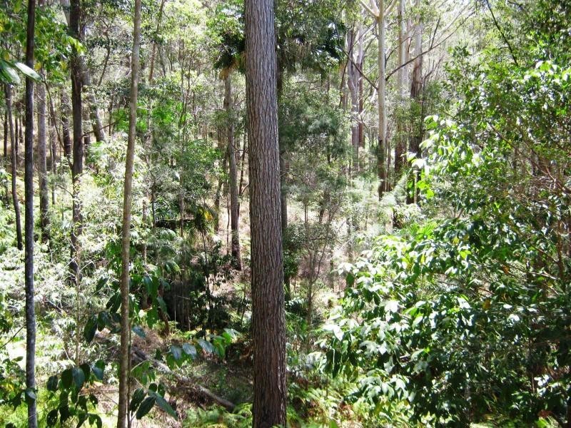 93 Olsen Road, Ilkley QLD 4554