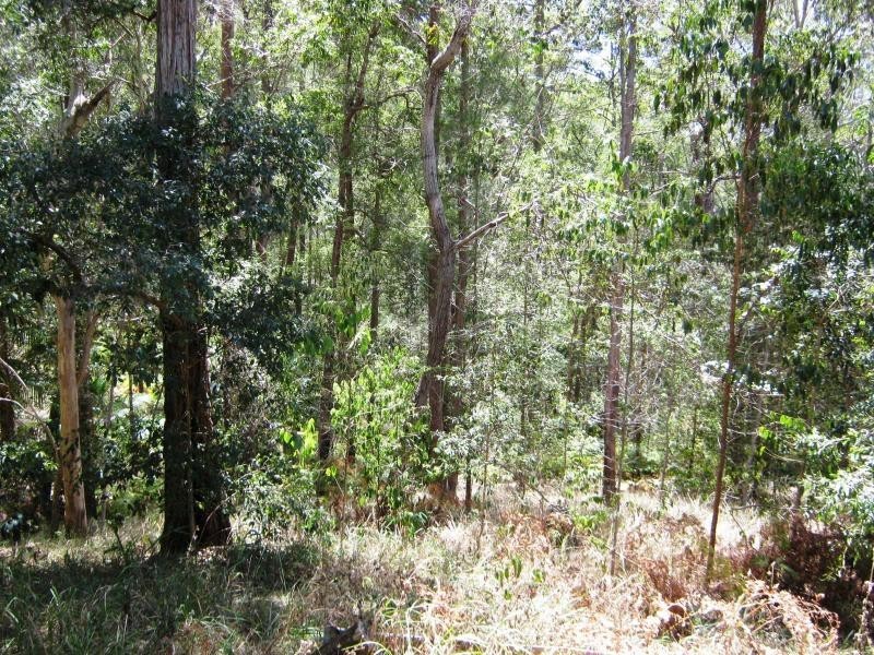 93 Olsen Road, Ilkley QLD 4554