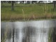 Gheerulla QLD 4574