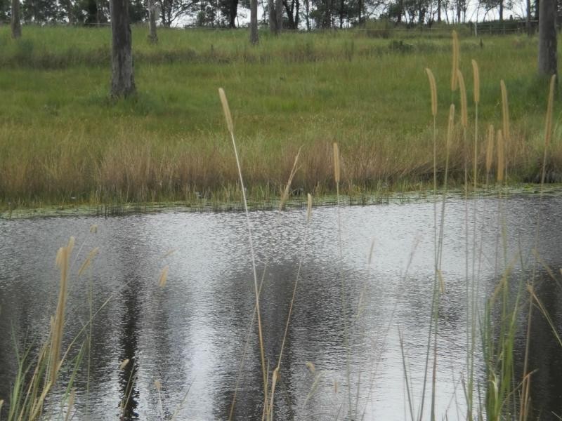 Gheerulla QLD 4574