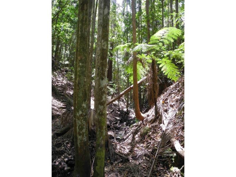 West Woombye QLD 4559