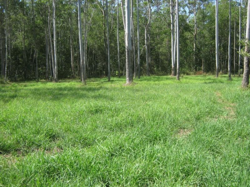 21 Sara Place, Ilkley QLD 4554