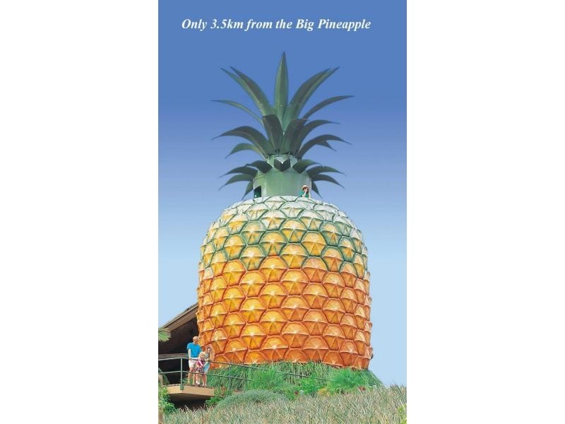 159 Kiel Mountain Road, Woombye QLD 4559