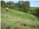 Nambour QLD 4560