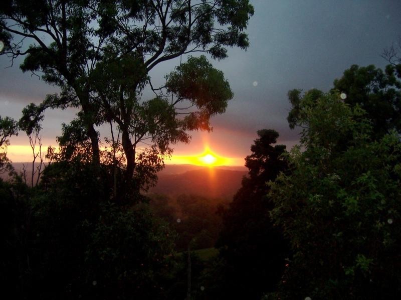 199 SHURVELL Road, Palmwoods QLD 4555