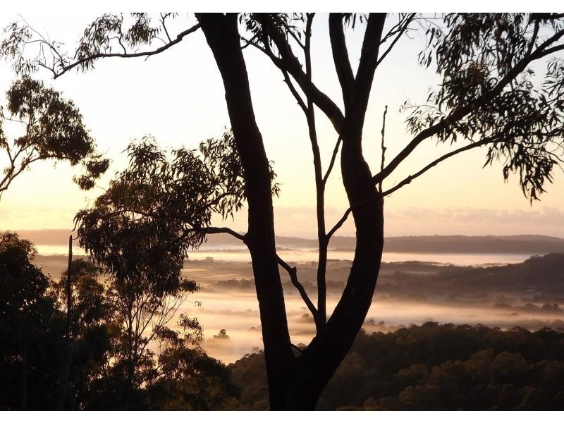 199 SHURVELL Road, Palmwoods QLD 4555