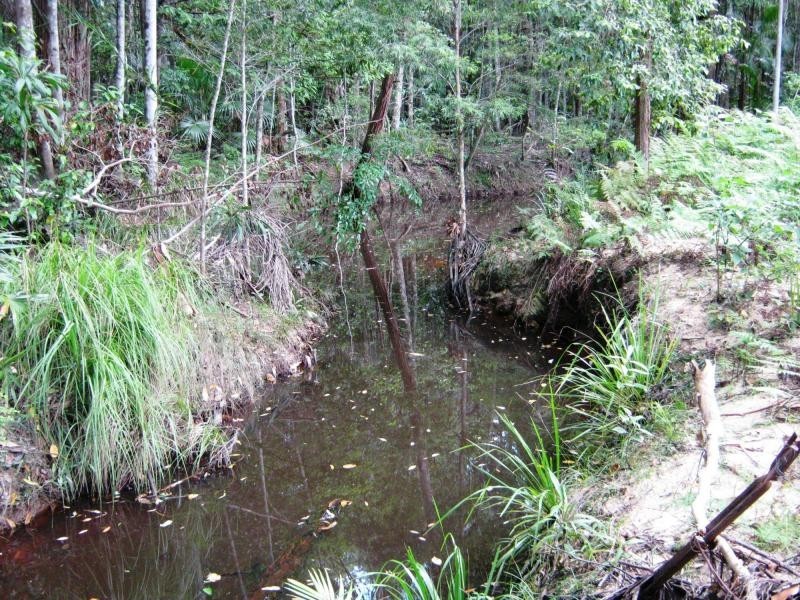 Palmwoods QLD 4555