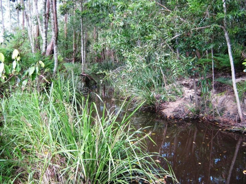 Palmwoods QLD 4555