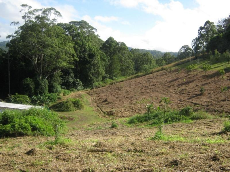 339 BLACKALL RANGE Road, West Woombye QLD 4559