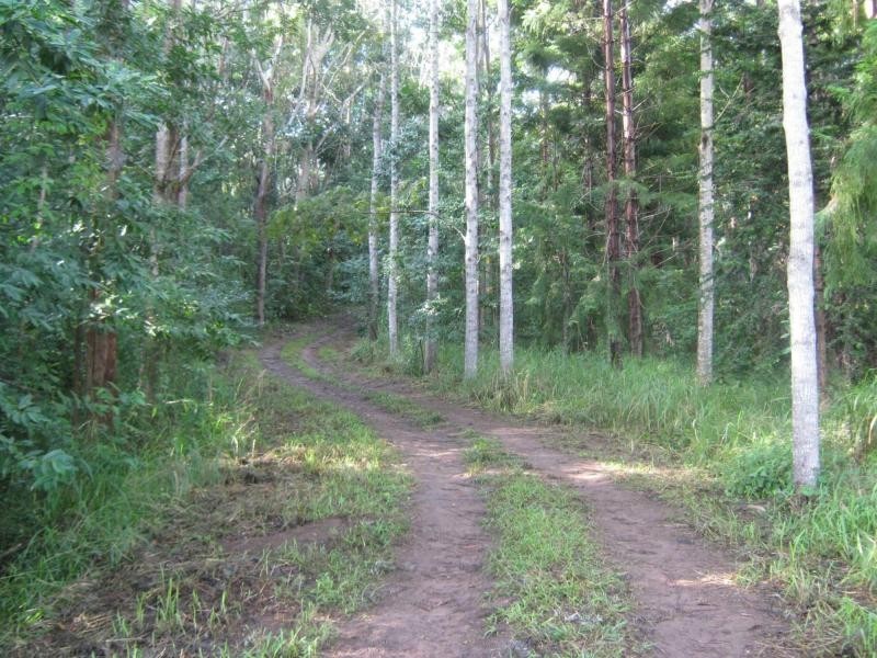 339 BLACKALL RANGE Road, West Woombye QLD 4559