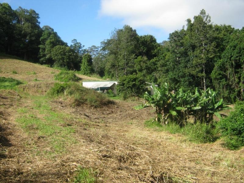 339 BLACKALL RANGE Road, West Woombye QLD 4559