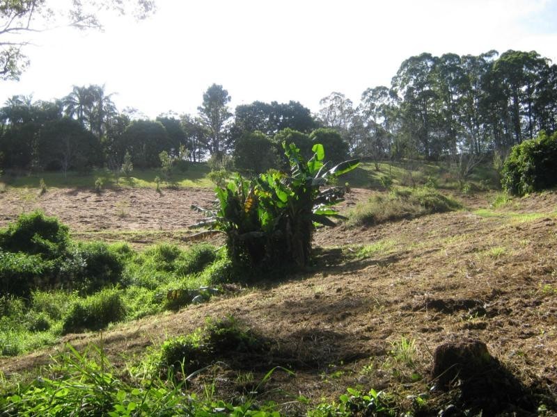 339 BLACKALL RANGE Road, West Woombye QLD 4559