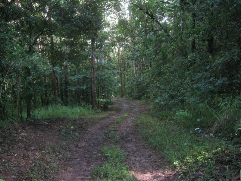 339 BLACKALL RANGE Road, West Woombye QLD 4559