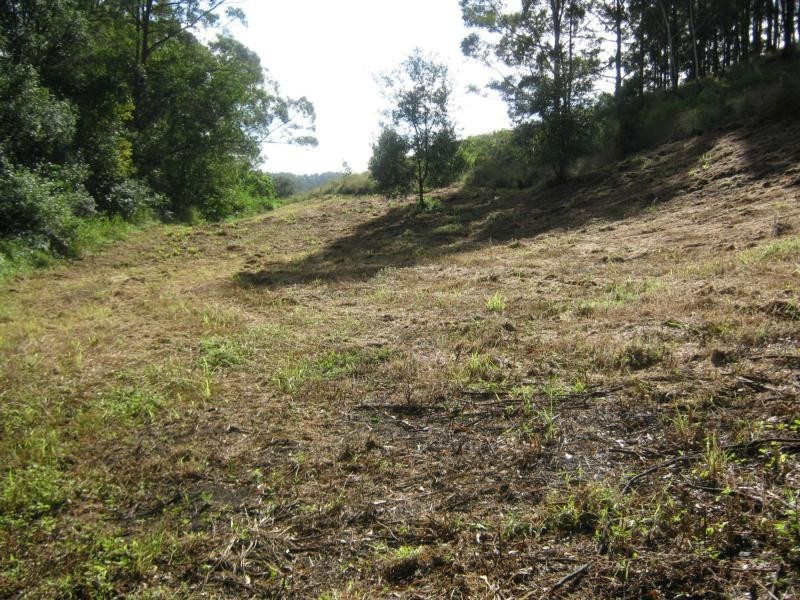 339 BLACKALL RANGE Road, West Woombye QLD 4559