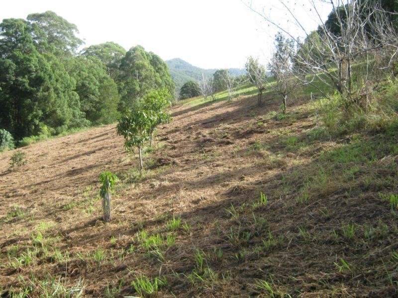 339 BLACKALL RANGE Road, West Woombye QLD 4559