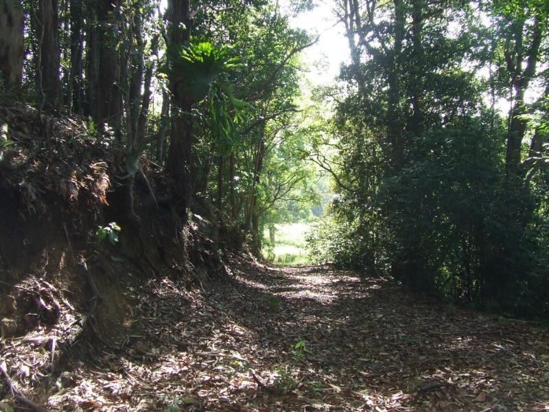 399 PERWILLOWEN Road, Nambour QLD 4560