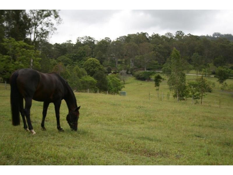 46 COUNTRY Road, Palmwoods QLD 4555