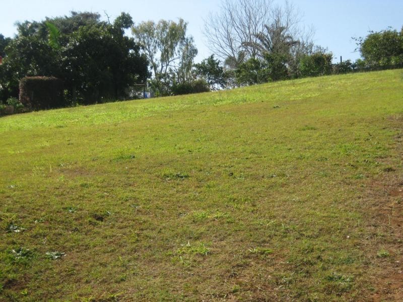 11 Dinmore Street, Woombye QLD 4559