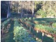 Palmwoods QLD 4555